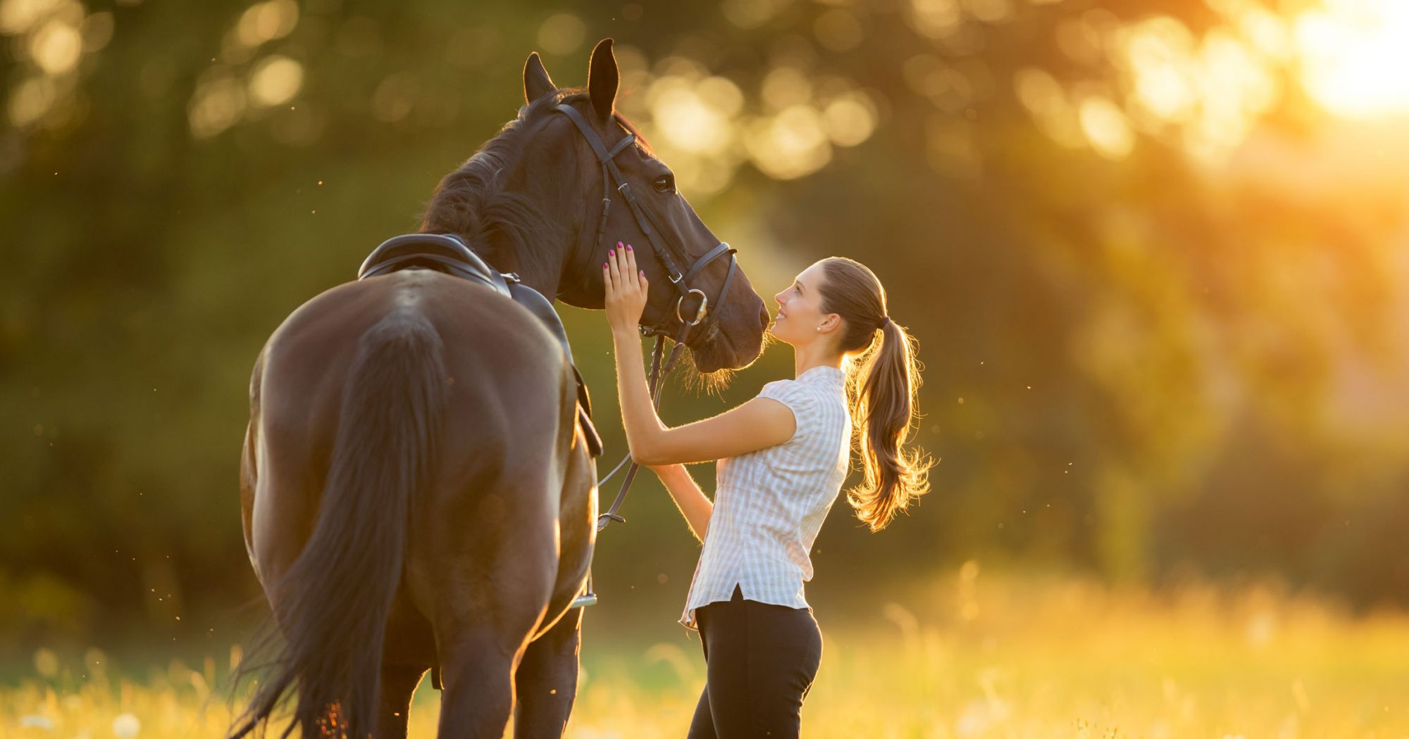 Apa yang Harus Dilakukan Jika Kuda Anda Kepanasan