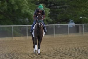 D. Wayne Lukas Mengendarai Preakness dengan Filly