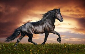 Kuda Perang, Kekuatan dan Keberanian di Medan Pertempuran